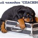 ���� �����, ���������, 54 ���� - ��������� 15 ������� 2013 � ������ ���� ����������