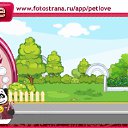 ���� �����, ���������, 41 ��� - ��������� 26 ������� 2010 � ������ �PetLove�