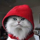 ���� �������, �������� - ��������� 19 ������ 2012 � ������ ���� ����������