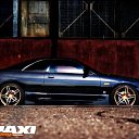 ���� ���������, �����������, 44 ���� - ��������� 15 ������ 2009 � ������ �����