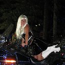 ���� ����, ������-����������, 41 ��� - ��������� 15 ������ 2013