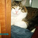 ����� ��� 1 ��� �� ������� ���� ����������