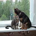 ����-���� ����� �� ������... �� ������� ���� ����������