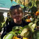 ���� ������ �����, ��������� - ��������� 23 ���� 2013 � ������ ���� ����������