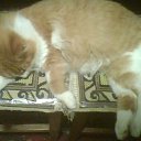 ���� ����, ���� - ��������� 15 ������ 2011 � ������ ������)))�