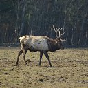 ����� �� ������� ��������