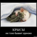 ���� �����, ����������, 60 ��� - ��������� 10 ������ 2010 � ������ �������