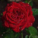 ���� �������, ������ - ��������� 25 ����� 2013 � ������ �������