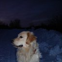 ���� �����, �����, 41 ��� - ��������� 15 ������ 2011