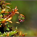 ���� ������, ������, 34 ���� - ��������� 26 ��� 2010 � ������ ����� � ��������