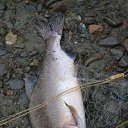 ���� �����, ������, 47 ��� - ��������� 7 �������� 2012 � ������ �������