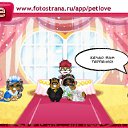  ,  -  16  2011   PetLove