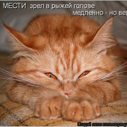 ���� Fiona, ������, 47 ��� - ��������� 27 ������� 2010