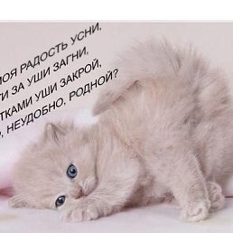 ���� �����, ���������, 27 ��� - ��������� 17 ������ 2010