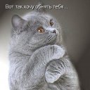 ���� �����, ��������, 44 ���� - ��������� 21 ������ 2010 � ������ ���� ����������