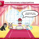 ���� ������, �������, 37 ��� - ��������� 3 ������ 2011 � ������ �PetLove�