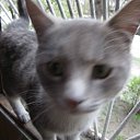 ���� ����, ������, 33 ���� - ��������� 15 ������ 2012 � ������ �15.04.12 �� ������ �������� ���� =)))�