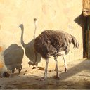 ���� �������, ������������ - ��������� 2 ���� 2010 � ������ �������