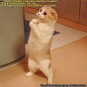 ���� �����, ���������� - ��������� 23 ����� 2012 � ������ ���� ����������