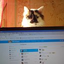 ���� ����, ������������, 62 ���� - ��������� 8 ���� 2013 � ������ ����� ��� ������������