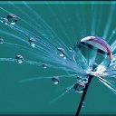 ���� �����, �����������, 63 ���� - ��������� 7 ��� 2012