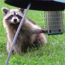 ���� ���, ������� ���� - ��������� 9 ������ 2011 � ������ �� � ��� ������� �����