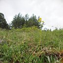  Serzh Van Der Maaremaan,  -  19  2010   ׸ 