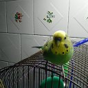 ���� ������, ������, 63 ���� - ��������� 6 ����� 2012 � ������ ���� ������