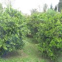 ���� �����, �����, 53 ���� - ��������� 25 ����� 2012