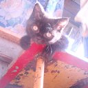 ���� ����, ����������, 44 ���� - ��������� 23 ������� 2010