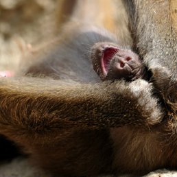 ���� Kur, ������, 46 ��� - ��������� 22 ������ 2011