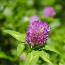 ���� ������, ������, 54 ���� - ��������� 18 ���� 2011 � ������ �������� �������