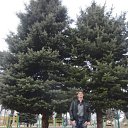 ���� ��������, �����������, 43 ���� - ��������� 27 ����� 2012 � ������ ���� ����������