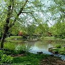 ���� ~Ann&ramosh~, ���������� - ��������� 8 ������ 2010 � ������ �������� �������!!!�