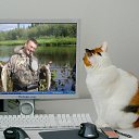 ���� ��������, ���������, 51 ��� - ��������� 9 ������� 2011 � ������ ���� ����������