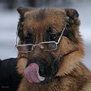 ���� ������, ������, 41 ��� - ��������� 22 ����� 2012