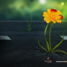 Ketevan, �������, 66 ���