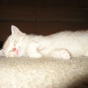 ���� ~��~, ������������, 38 ��� - ��������� 10 ����� 2010 � ������ ���� ����� �����