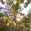 ���� �������, ������, 57 ��� - ��������� 14 ���� 2012 � ������ ���� ������