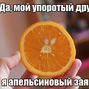 ���� ��������, �������, 58 ��� - ��������� 5 ���� 2013 � ������ ������ ��������