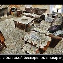 ���� ����, ������, 42 ���� - ��������� 24 ������� 2012 � ������ �������