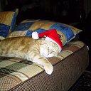 ���� �����, ������, 61 ��� - ��������� 24 �������� 2011 � ������ �������