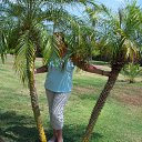 ���� ��������, ������, 52 ���� - ��������� 9 ������� 2010 � ������ ���� ����������