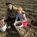 ���� �������, ���������, 53 ���� - ��������� 10 �������� 2012 � ������ ���� ����������