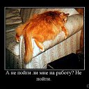 ���� ����, ������ ����, �����������, 41 ��� - ��������� 13 ������� 2010 � ������ �������