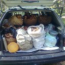  Vovik, , 63  -  15  2013    