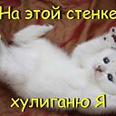 � ����� �������� ���� vk.com/fotiko �� ������� ���� ����������