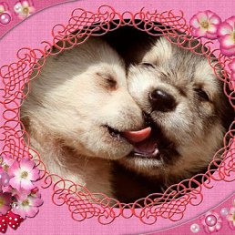 ���� �����***, �������� - ��������� 20 ������� 2011