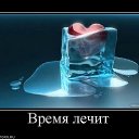 ���� Sem...&reg;&trade; (����) ������������, ������-��-����, 40 ��� - ��������� 11 ��� 2010 � ������ ���������
