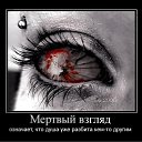 ���� �����, ������, 48 ��� - ��������� 23 �������� 2010